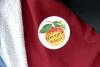 Election Day Coverage: What you need to know going into today’s Georgia primaries