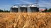 Researchers make breakthrough discovery that could transform agriculture: 'This research is important'
