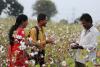 Kering- and Inditex-backed Regenerative Fund for Nature Opens New Partnership Tiers