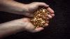 Cleantech acquires rights to Bolivian gold-antimony project from Silver Elephant