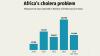 Mpox cases declined; cholera outbreaks recorded in 23 African countries: CDC