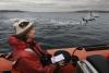 Environment reporter Lynda Mapes dove into Seattle’s Elliott Bay, and found some big changes