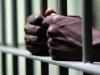 Four charged for alleged telecommunications battery theft