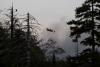 How industrial forestry and climate change created the NS wildfire problem