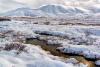 Scientists make surprising discovery after digging deep into frigid Alaskan soil — here's what they found