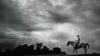 See animals through the years from the Delaware News Journal archives