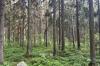 Greenhouse gas emissions reduce by 16% in Helsinki last year