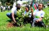Ethiopia’s Green Legacy Initiative Model for African Climate Action: AU Official Says