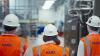 Popular candy maker Mars puts $250 million toward ambitious new business plan: 'Important areas to make meaningful progress'