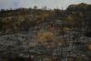 1,400 keep watch on France wildfire