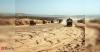 Coimbatore district collector issues show-cause notices to 40 revenue officials over illegal sand mining