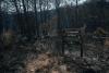 Wildfire contained in southern France as heatwave threatens reignition
