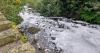 Life is creeping back into this river, but so is the pollution