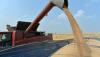 Ukraine Exports 3.4M Tonnes Of Agricultural Products In July  UCAB