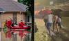 Over 900 flights delayed and 14 million remain under flood alerts as torrential rain batters Midwest