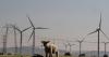 New rules for wind, solar farms cut deeper than industry expected