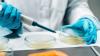 Researchers develop breakthrough method to determine common contaminant levels in food: 'We have found first evidence'