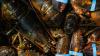 What Lobsters and Chickens Reveal About Europe’s Trade Strategy