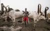 U.S. condemns killing of christians in Nigeria, vows decisive action