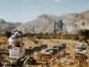 Hyatt sees 5% rise in business travel enquiries in Mideast