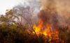 Bulgaria Faces Scorching Heat Today, Maximum Fire Risk and Strong Winds
