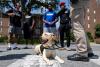 There’s a new dog on campus at the University of Delaware, and she’s working for the police