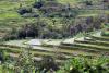 Why litres matter as much as food miles