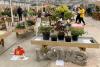 Shortlist announced for Four Oaks Trade Show new plant awards