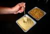 'Brewed' Chicken Protein Tested in Pet Food