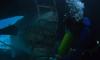 ‘Jaws Goes to the Bahamas’ Teaser – Lance Guest Talks ‘Jaws: The Revenge’ in Documentary