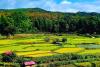 Remote Timor-Leste Dazzles with Natural Wonders and Bright Smiles