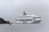 Customs to tighten Helsinki port checks over swine fever threat