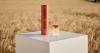 Farm to formulation: Dyson drops second hair care range powered by omega-rich blend