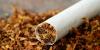 CAPPA Seeks Higher Tobacco Tax To Protect Public Health
