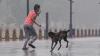 Opinion | Human Rights Vs Dog Rights: Activist Ire Over SC Order Missing The Point?