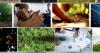 Waldom Electronics Co-op Fund Doubles ESG Impact