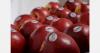 Chile starts commercial exports of the Cosmic Crisp apple variety