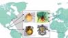 4 exotic ticks species 'hitchhiking' on humans identified in Connecticut