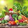 Agriculture, Food Security And Improved Nutrition
