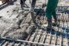 Foreign Intelligence Service: Russia wants to push Belarusian cement out of the market
