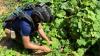 Thailand warns of ‘self defence’ after landmine blast near Cambodian border injured soldier