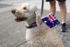 Veteran and Now-Liberal MP Pledges Motion to Criminalise Burning the Australian Flag