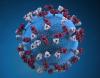 Health officials: Unvaccinated North Idaho child is state’s first resident measles case since 2023