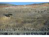 Major Australian Gold Miner Evolution Is Eying More Copper Deals