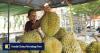 Durian diplomacy: China welcomes Cambodia’s first direct air shipments of fruit