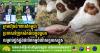 Major Companies Commit to Local Agricultural Products for Animal Feed Production