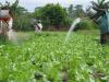 Government and development partners commit GHS 2.9bn to boost agric, food security