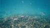 Should We Sacrifice The Seabed Floor For Next-Generation Technology?