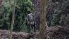 M23 shatters US-brokered cease-fire with fresh attacks in DRC