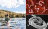Scientists discover how terrifying cancer-causing parasitic worm can penetrate your body... without you feeling a thing
